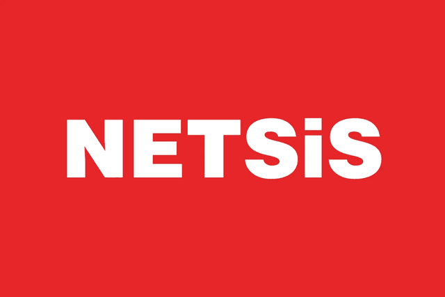 NETSIS ERP